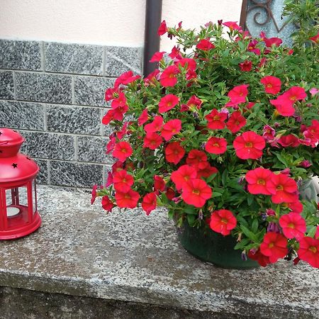 B&B L'Ortensia Vignolo Экстерьер фото