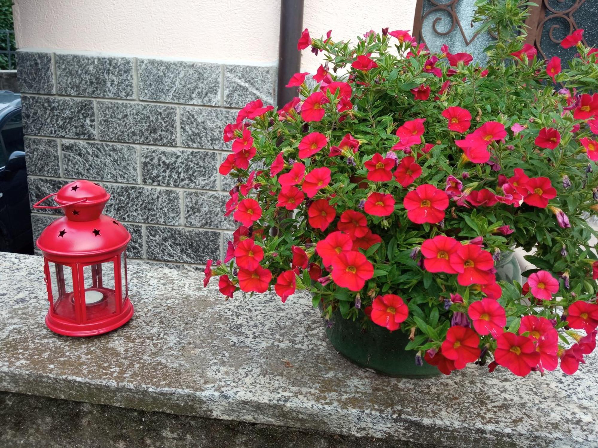 B&B L'Ortensia Vignolo Экстерьер фото